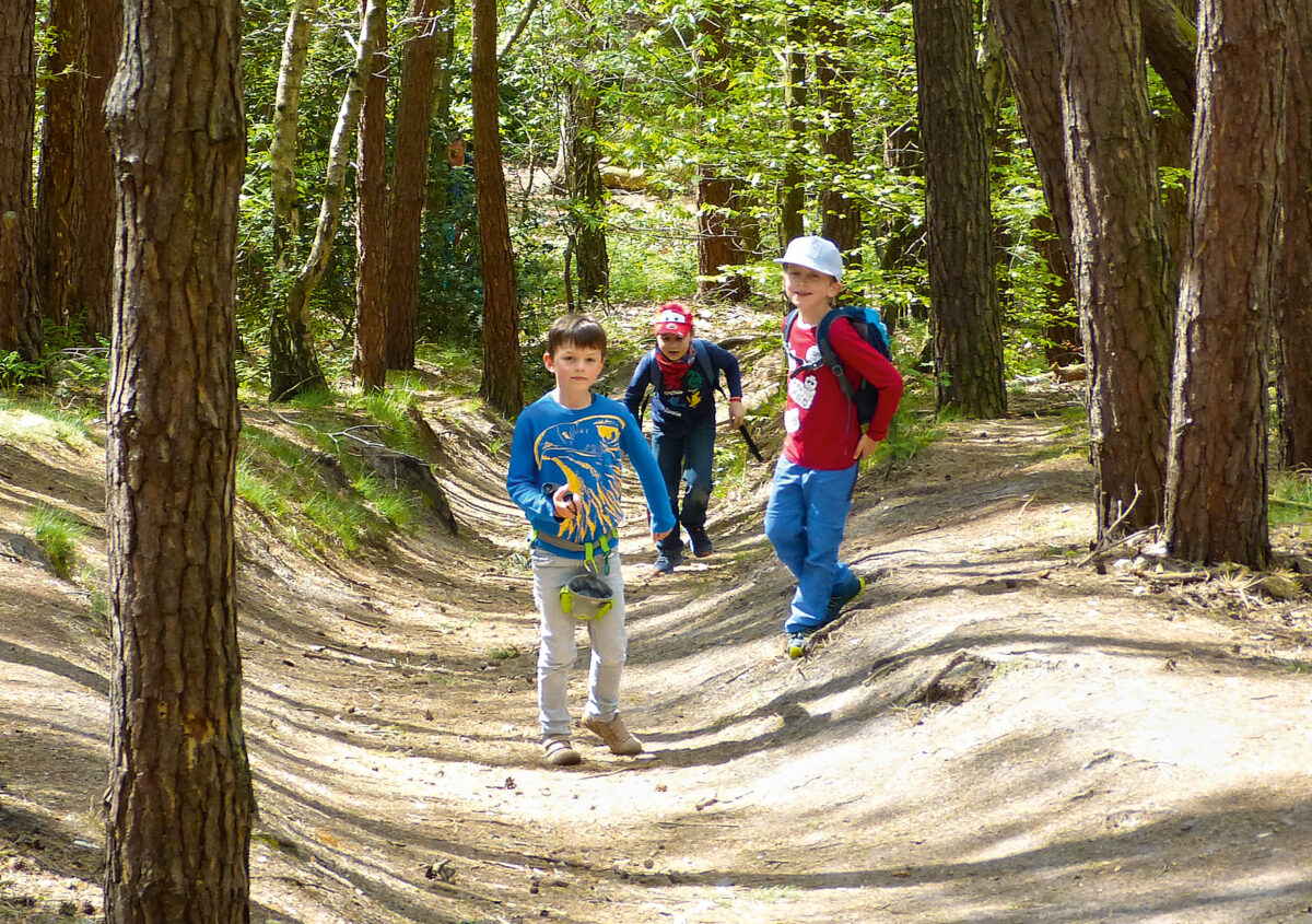 Niederrhein Archive - wandern mit kindern Niederrhein Archive - wandern mit kindern